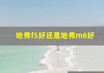 哈弗f5好还是哈弗m6好