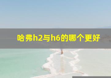 哈弗h2与h6的哪个更好