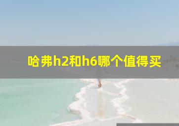 哈弗h2和h6哪个值得买