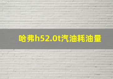 哈弗h52.0t汽油耗油量