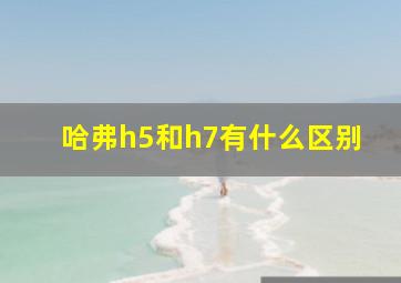 哈弗h5和h7有什么区别