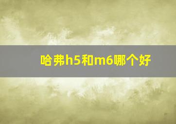 哈弗h5和m6哪个好