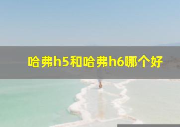 哈弗h5和哈弗h6哪个好