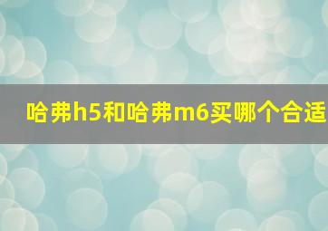 哈弗h5和哈弗m6买哪个合适