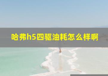 哈弗h5四驱油耗怎么样啊