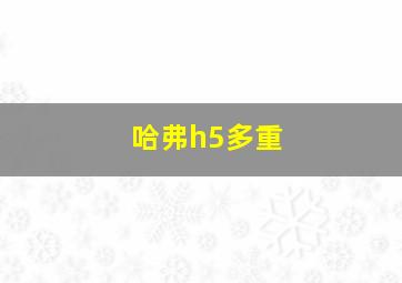 哈弗h5多重