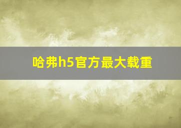 哈弗h5官方最大载重