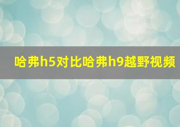 哈弗h5对比哈弗h9越野视频