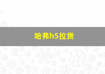 哈弗h5拉货