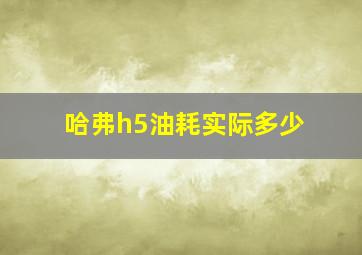 哈弗h5油耗实际多少