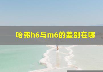 哈弗h6与m6的差别在哪