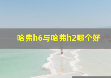 哈弗h6与哈弗h2哪个好