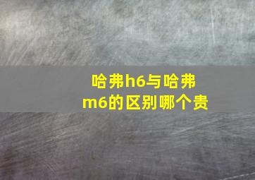 哈弗h6与哈弗m6的区别哪个贵