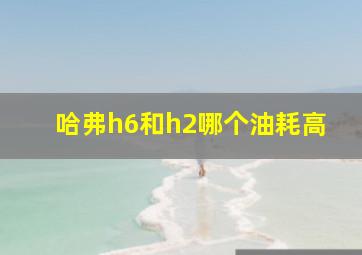 哈弗h6和h2哪个油耗高