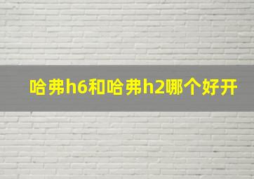 哈弗h6和哈弗h2哪个好开