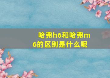 哈弗h6和哈弗m6的区别是什么呢