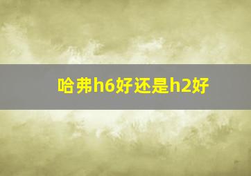 哈弗h6好还是h2好