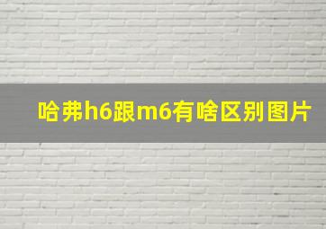 哈弗h6跟m6有啥区别图片