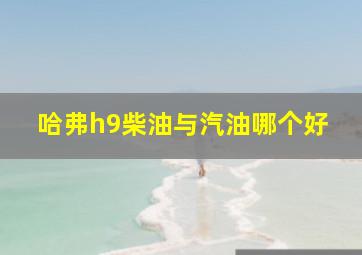 哈弗h9柴油与汽油哪个好