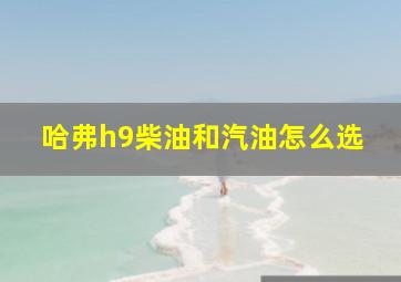 哈弗h9柴油和汽油怎么选