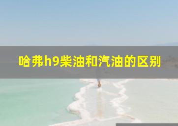 哈弗h9柴油和汽油的区别