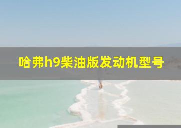 哈弗h9柴油版发动机型号