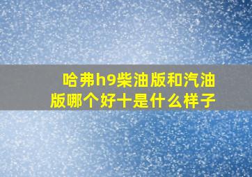 哈弗h9柴油版和汽油版哪个好十是什么样子