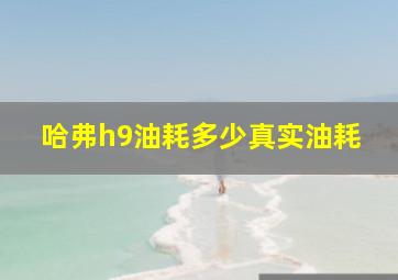 哈弗h9油耗多少真实油耗