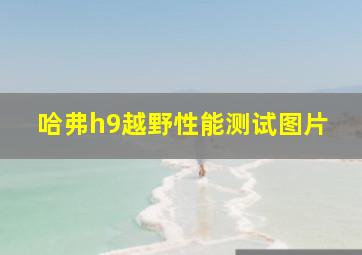 哈弗h9越野性能测试图片