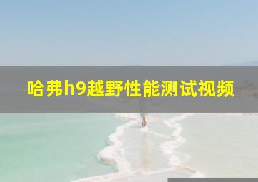 哈弗h9越野性能测试视频