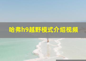 哈弗h9越野模式介绍视频