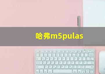 哈弗m5pulas