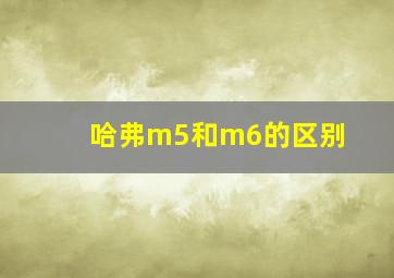 哈弗m5和m6的区别