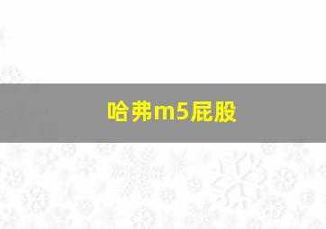 哈弗m5屁股