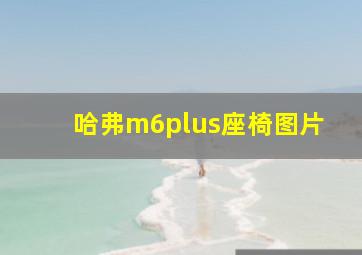 哈弗m6plus座椅图片