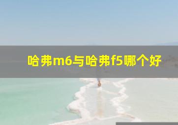 哈弗m6与哈弗f5哪个好