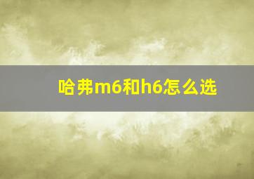 哈弗m6和h6怎么选