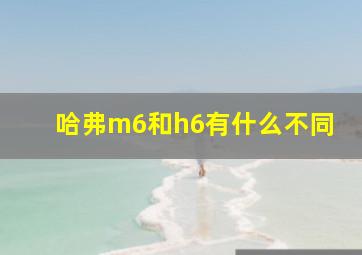 哈弗m6和h6有什么不同