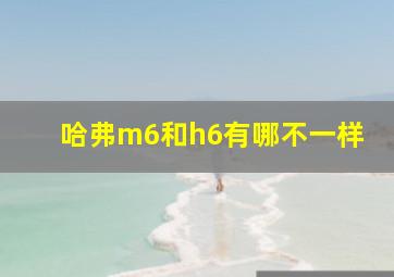 哈弗m6和h6有哪不一样