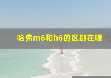 哈弗m6和h6的区别在哪