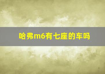 哈弗m6有七座的车吗