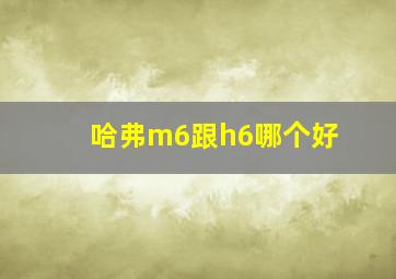 哈弗m6跟h6哪个好