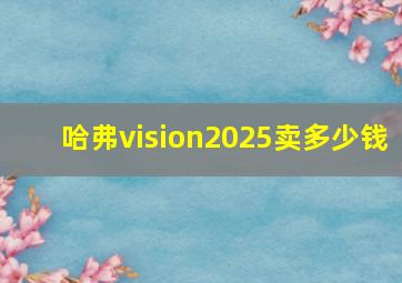 哈弗vision2025卖多少钱