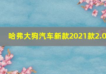 哈弗大狗汽车新款2021款2.0