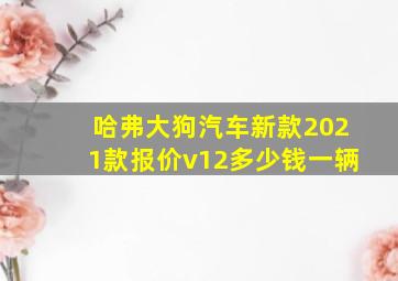 哈弗大狗汽车新款2021款报价v12多少钱一辆