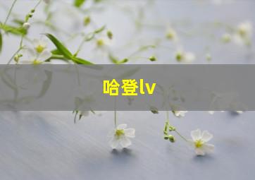 哈登lv