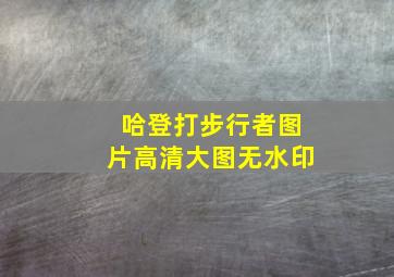 哈登打步行者图片高清大图无水印