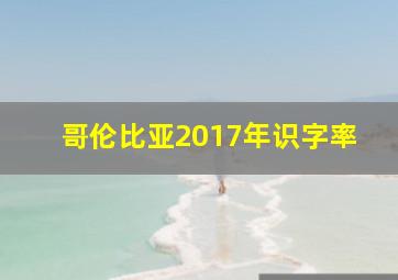 哥伦比亚2017年识字率