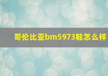 哥伦比亚bm5973鞋怎么样