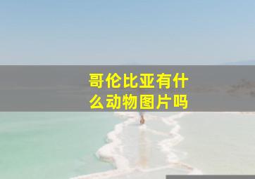 哥伦比亚有什么动物图片吗